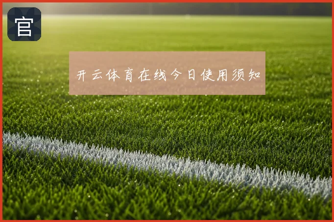 开云体育在线今日使用须知